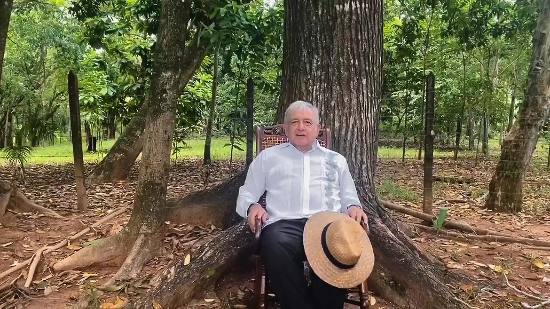 amlo-caalderon-ine-mexico libre